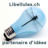Portail Francophone d'Informatique